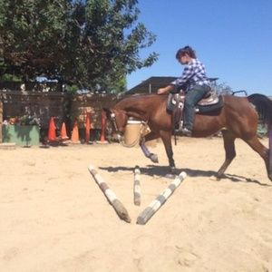 Meet your Posher, Gina